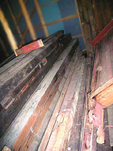 �\���ގʐ^-4