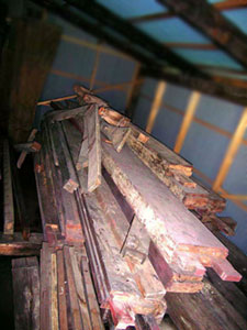 �\���ގʐ^-5