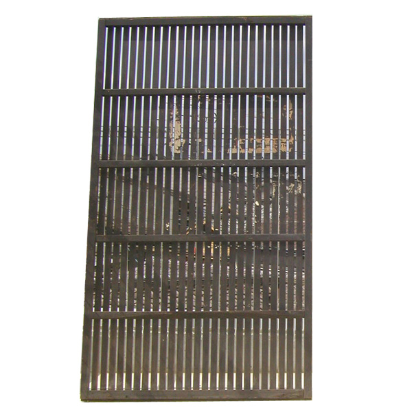 �i�q�ˊg��ʐ^-11