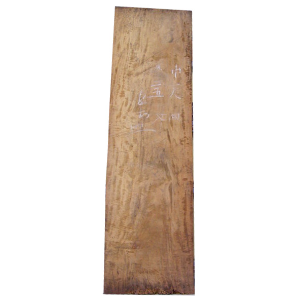 ���̊g��ʐ^-26